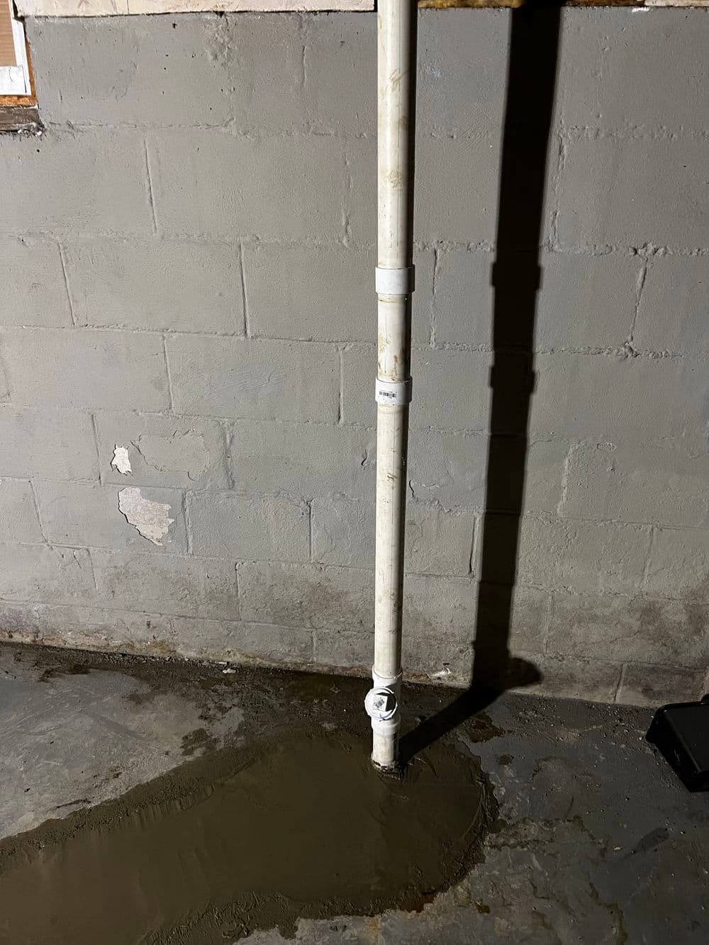 PVC pipe emerging from concrete floor in a basement, indicating plumbing installation.